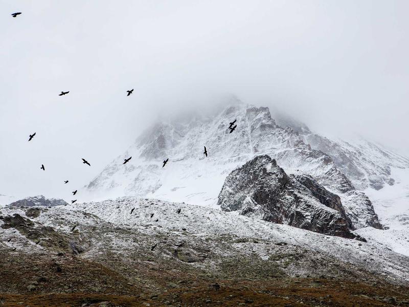 community screenshot 2